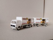 Herpa 1/87 Mercedes NG