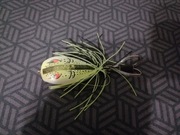 Rapala zamiennik topwater 