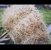 Słoma  EKO w małej kostce – dla kur, królików, zwierząt, wyściółka