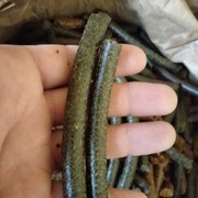 Pellet roślinny karma, zanęta