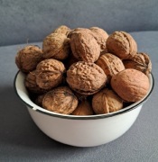 Orzechy Włoskie 2025 1kg Świeże 