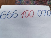 Złoty numer 666-100