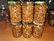 Kurki marynowane Atest grzyboznawcy.