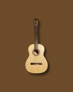 Gitara klasyczna Hora ECO SS100