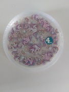 Patry zestaw talerzyków motyw jednorożca.