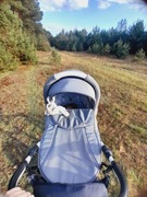 Wózek dziecięcy Adamex 2w1