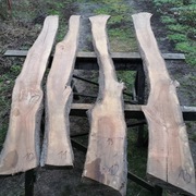 deska śliwy deski śliwki tarcica śliwa 10-13