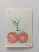 Akwarela ręcznie malowana