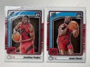 2x Karta NBA PANINI - TORONTO RAPTORS - JAMAL SHEAD JONATHAN MOGBO - ROOKIE