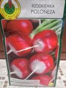 Rzodkiewka 'Poloneza'