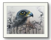 Akwarela oprawiona nowa 