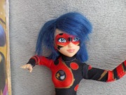 Biedronka i czarny  kot