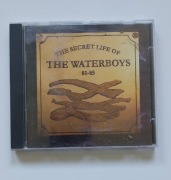 The Secret Life of The Waterboys 81-85