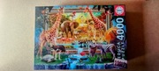 SAWANNA BUDZI SIĘ DO ŻYCIA / Puzzle EDUCA 4000 el.