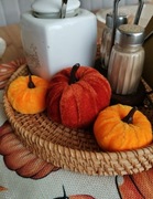 Dynie ozdobne zestaw 3 sztuki 