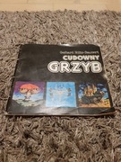 Gerhard Holtz Baumert cudowny grzyb