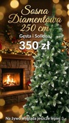 Wysoka duża Choinka 250 cm w metalowym stojaku sosna diamentowa