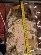 Kora Brzozowa rozpałka survival