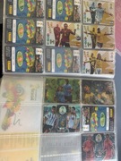 Karty Panini World Cup 2014