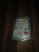 WD400 DYSK HDD 40GB