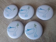 Broszki z motywem gołębia z gałązką 