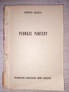 Płonące pantery | Żółty Tygrys 