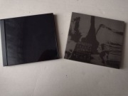 SEAGULLSINSANE AND SWANS DECEASED MINING OUT THE VOID -bdb