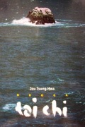 DROGA tai chi Jou Tsung Hwa