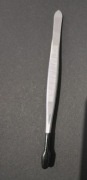 Peseta terrarystyczna 15cm