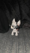 lps custom doga niemieckiego