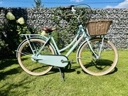 Rower Gazelle damski Holender 