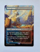 Steam Vents mtg.