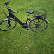 Rower elektryczny damski trelago