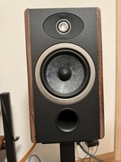 Focal Vestia no.1 kolumny podstawkowe