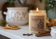 Świeca sojowa ARDORE Citrus et Species - 200 g (słoik przezroczysty)