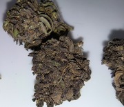 2025 1g 6.10% BlueBerry Legalny naturalny susz CBD od producenta