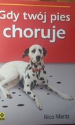 Gdy Twój pies choruje 