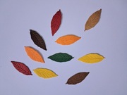 Scrapki liść tłoczony 10 szt. 34x12 mm mix kolorów jesiennych gram.160 g/m2