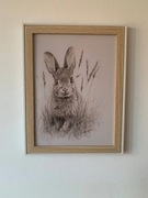 Obraz Królik w trawie