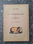 Jean Paraf La Tuberculose du cobaye 