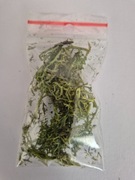 MECH CHROBOTEK ZIELONY NA KRZEWY DRZEWKA