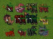 Twoj wlasny serwer TIBIA 8.6 rl++ (lub do wyboru) Ots tibia server + pomoc 