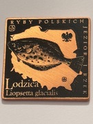 Ryba lodzica. Klipa 35 X 35 mm. 2013 Gyges