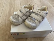 Półbuty adidasy Geox Respira skóra rozm 22