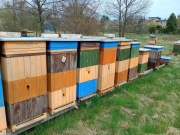 Ule wielkopolskie drewniane nowe i używane 