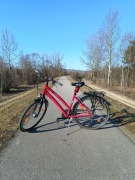 Rower Trekkingowy | Aluminiowa Rama | Shimano Acera 3x8 | Dynamo