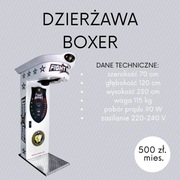 Dzierżawa Automatów Zarobkowo-Rozrywkowych Boxer