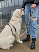 Smycz regulowana dla psa WARK 3 m Zaćmienie