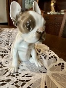 Duża figurka Rosenthal – buldog angielski, 17 cm