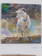 Portret KOZA 40/40 cm 0il/pl 22 r.  art. Shandyba 